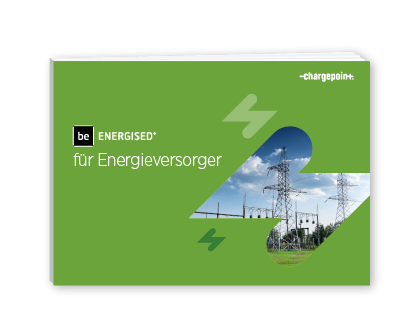 Lesen Sie die kostenlose Broschüre für Energieversorger